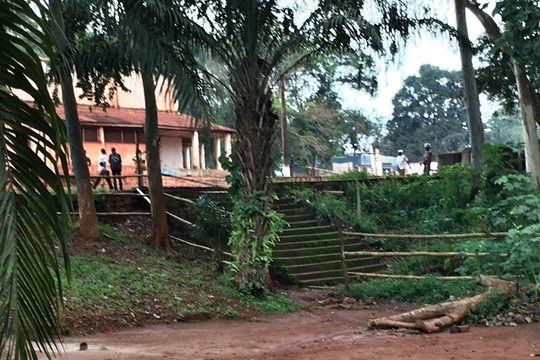 4e17acd186094efe81316bfb4efa92794d29ab3a