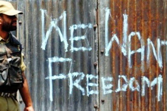 fTsBQamgcwchCtK-800×450-noPad