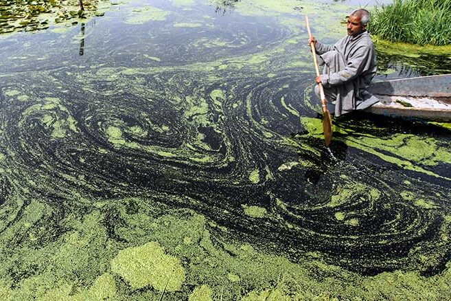 kashmiri boatman 100621
