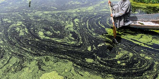 kashmiri boatman 100621
