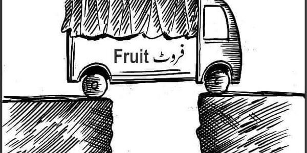 Kashmir Apple 270922