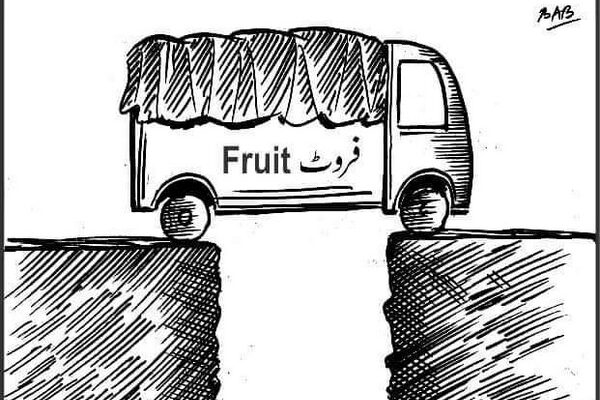 Kashmir Apple 270922