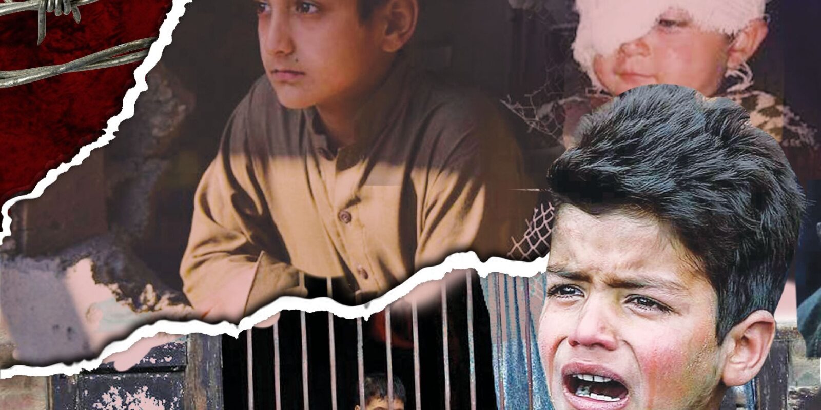 ded6dcd1-061e-4023-949c-59b7e0741f45-1