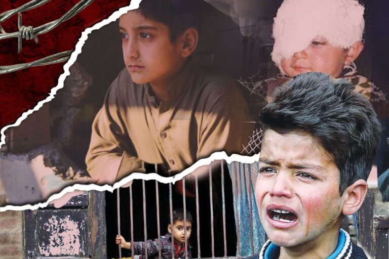 ded6dcd1-061e-4023-949c-59b7e0741f45-1